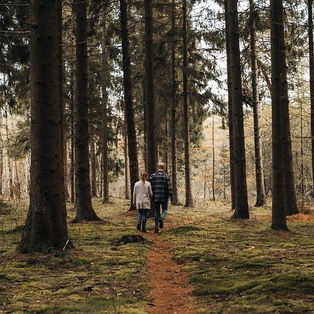4P Chalet Tolve Met 4 Fietsen Vlakbij Natuurgebieden Drents Friese Wold, Fochteloerveen En Gevangenisdorp Veenhuizen Остервольде Экстерьер фото