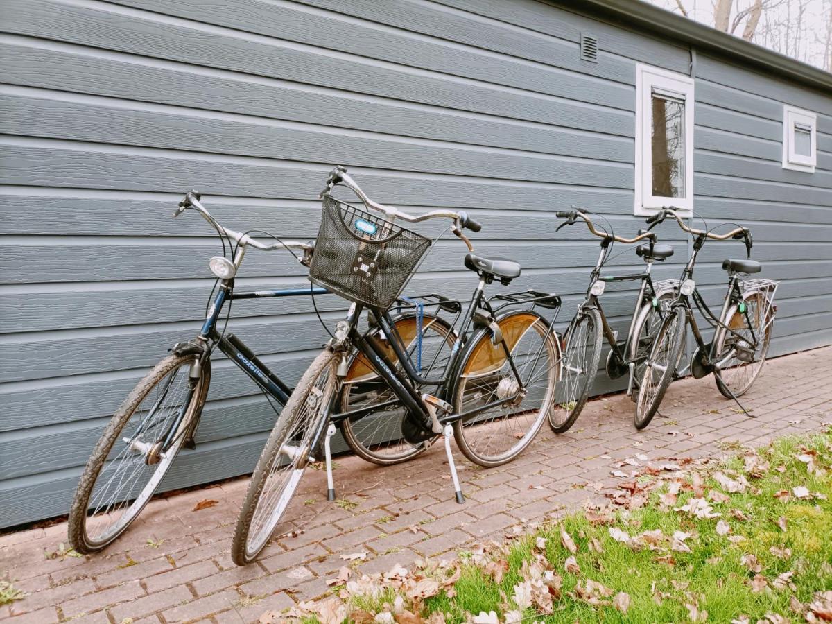 4P Chalet Tolve Met 4 Fietsen Vlakbij Natuurgebieden Drents Friese Wold, Fochteloerveen En Gevangenisdorp Veenhuizen Остервольде Экстерьер фото