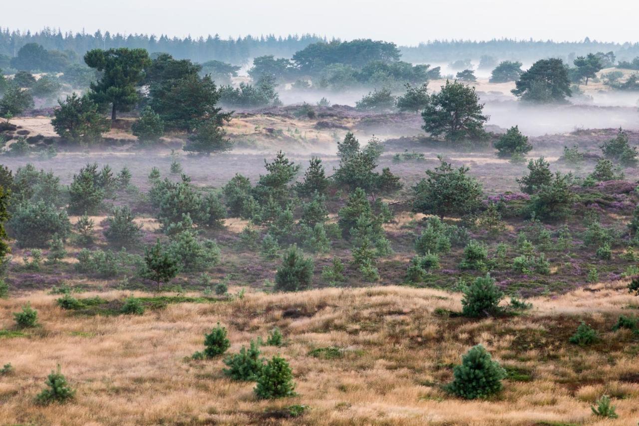 4P Chalet Tolve Met 4 Fietsen Vlakbij Natuurgebieden Drents Friese Wold, Fochteloerveen En Gevangenisdorp Veenhuizen Остервольде Экстерьер фото