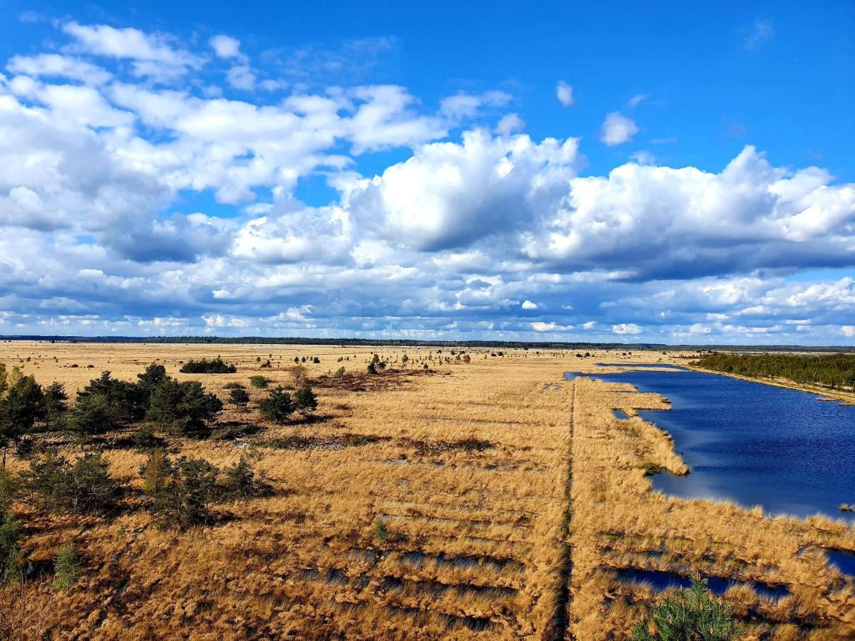 4P Chalet Tolve Met 4 Fietsen Vlakbij Natuurgebieden Drents Friese Wold, Fochteloerveen En Gevangenisdorp Veenhuizen Остервольде Экстерьер фото